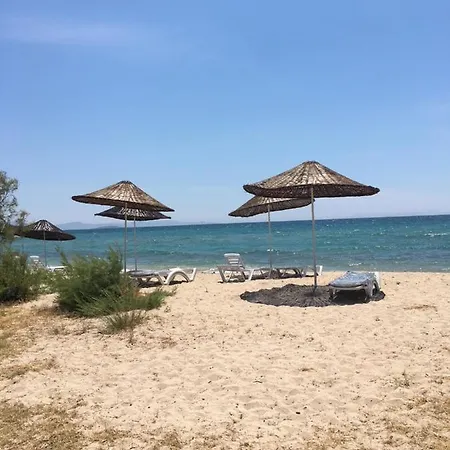 Beyaz Sahil Evleri Sitesi *